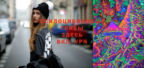 винт Арсеньев