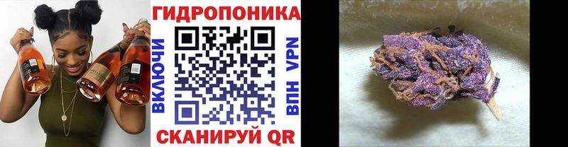 Канабис ГИДРОПОН Пучеж