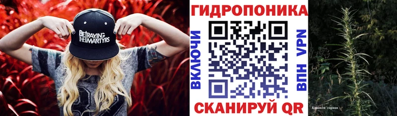 гидра tor  закладки  Пучеж  Конопля THC 21% 